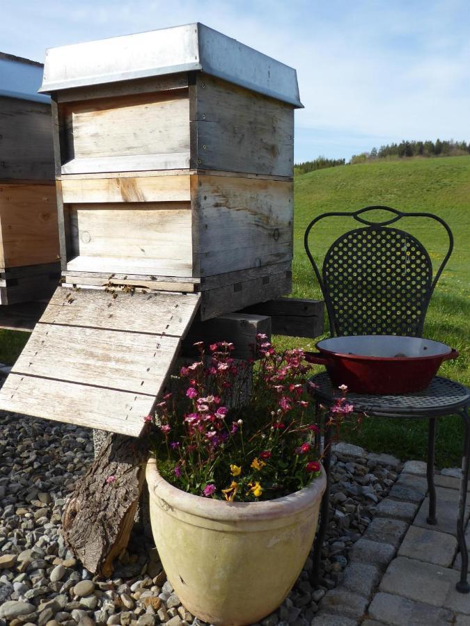 Erholungsraum Karsee - Ferienwohnung Wangen im Allgaeu ภายนอก รูปภาพ